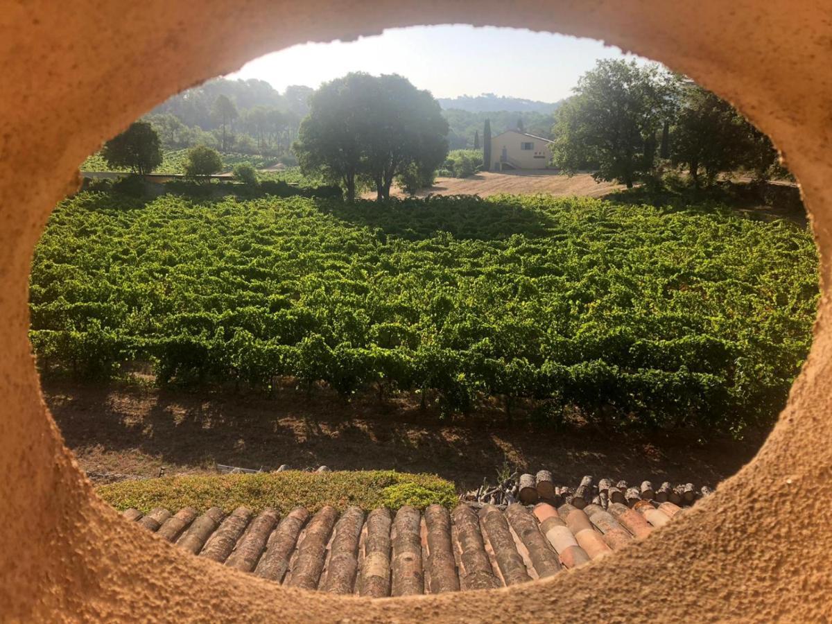 Domaine Du Clos D'Alari-Chambres D'Hotes Au Milieu Des Vignes Saint-Antonin-du-Var Екстериор снимка