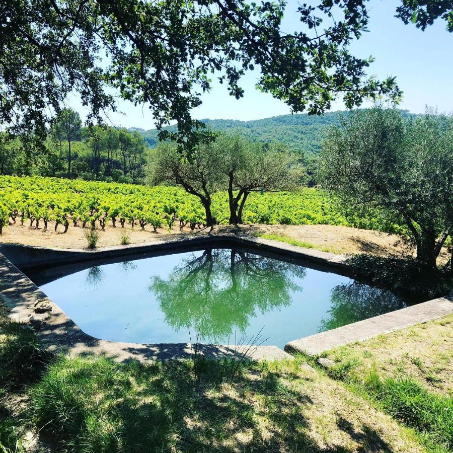 Domaine Du Clos D'Alari-Chambres D'Hotes Au Milieu Des Vignes Saint-Antonin-du-Var Екстериор снимка