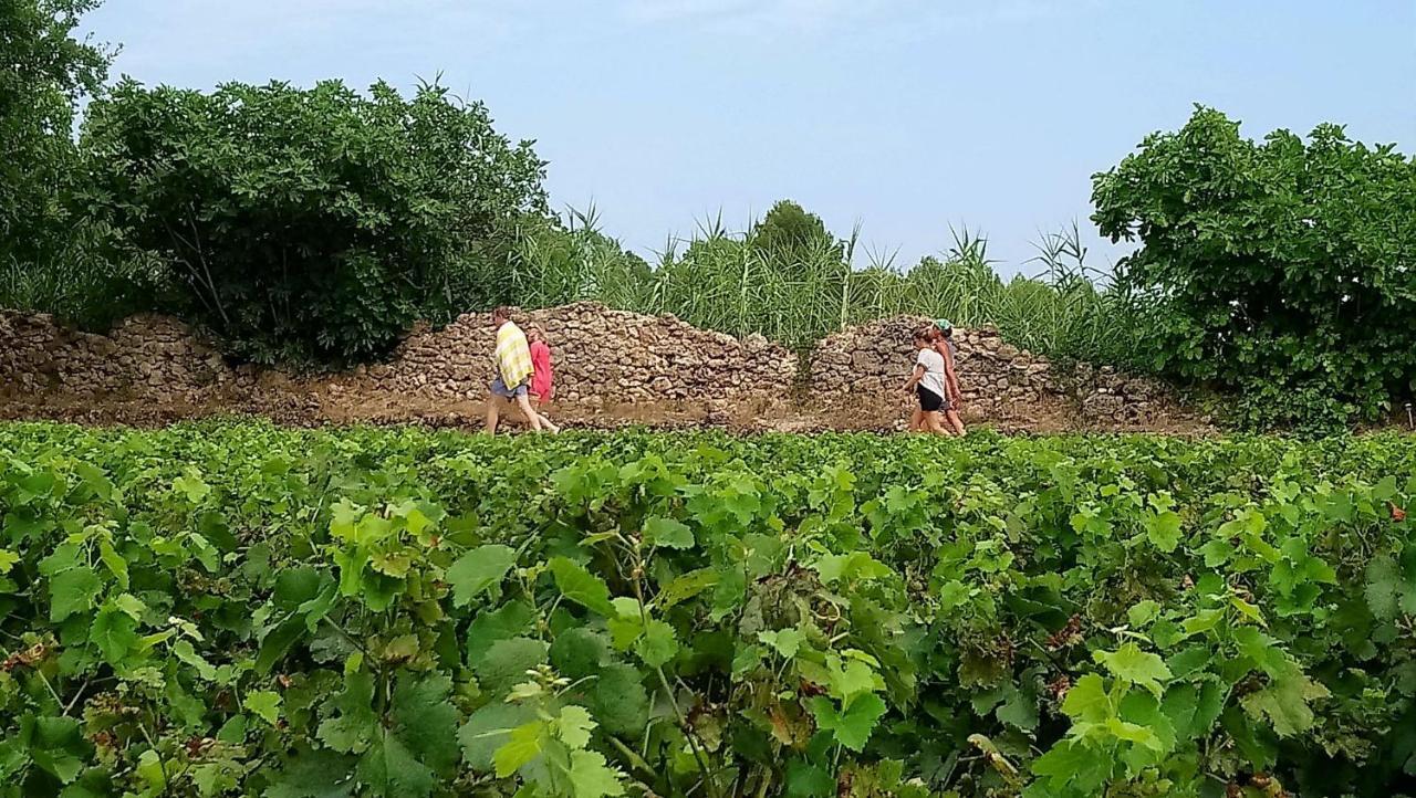 Domaine Du Clos D'Alari-Chambres D'Hotes Au Milieu Des Vignes Saint-Antonin-du-Var Екстериор снимка