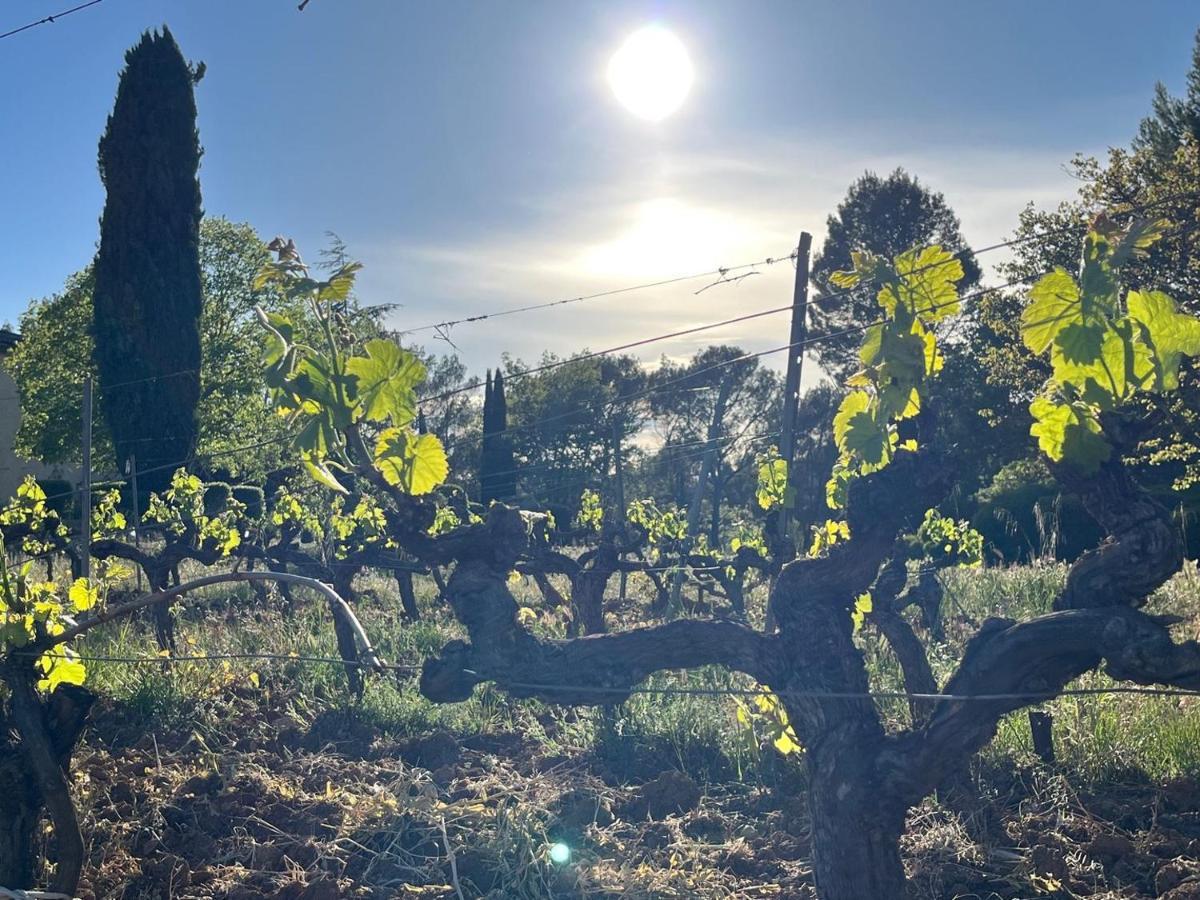 Domaine Du Clos D'Alari-Chambres D'Hotes Au Milieu Des Vignes Saint-Antonin-du-Var Екстериор снимка